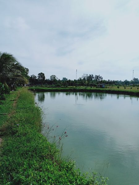 Đất Ao đang nuôi cá