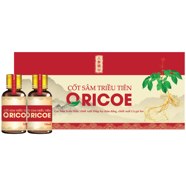 CỐT SÂN TRIỀU TIÊN- ORICOE