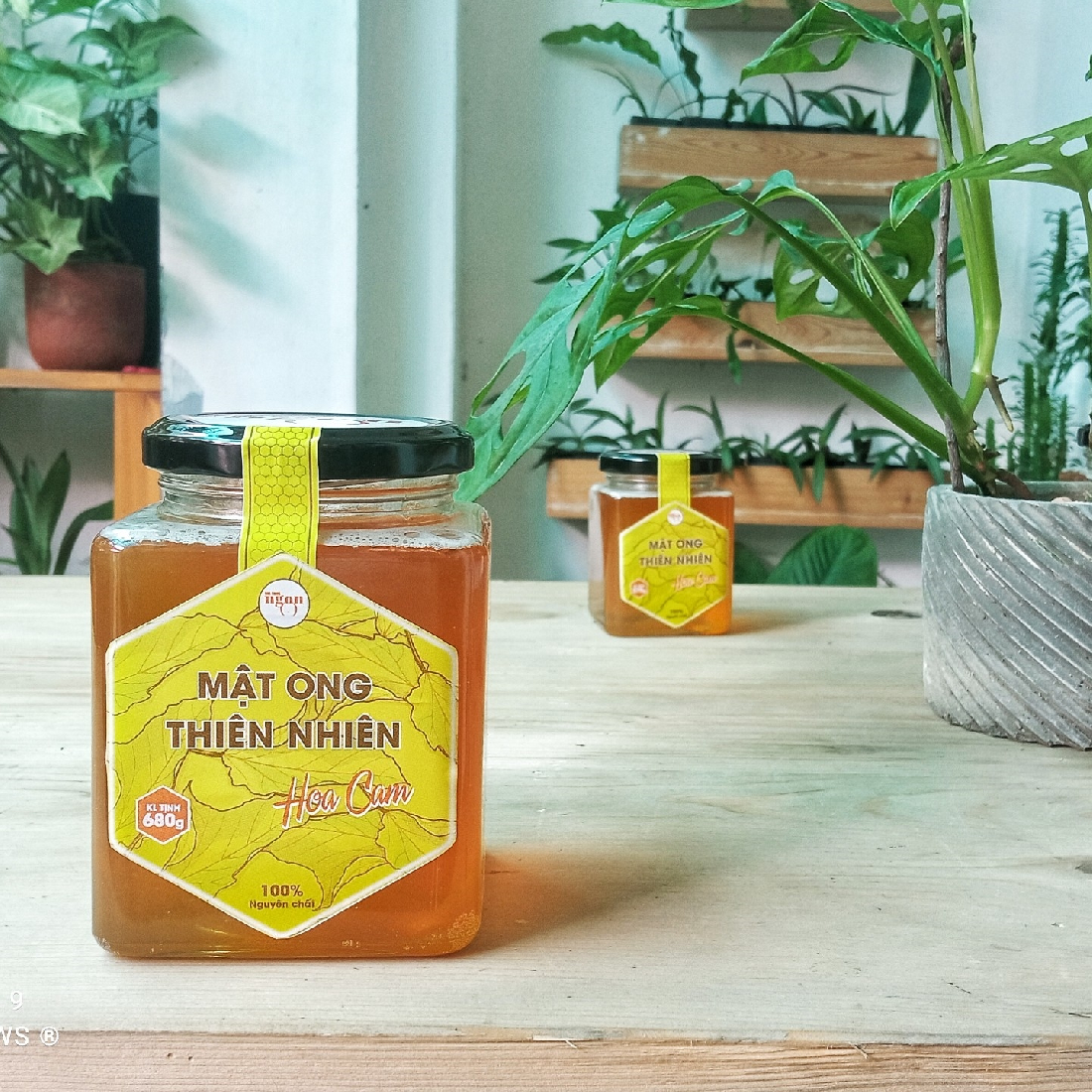 Mật ong thiên nhiên hoa Cam - Lọ thủy tinh 500g Lọ