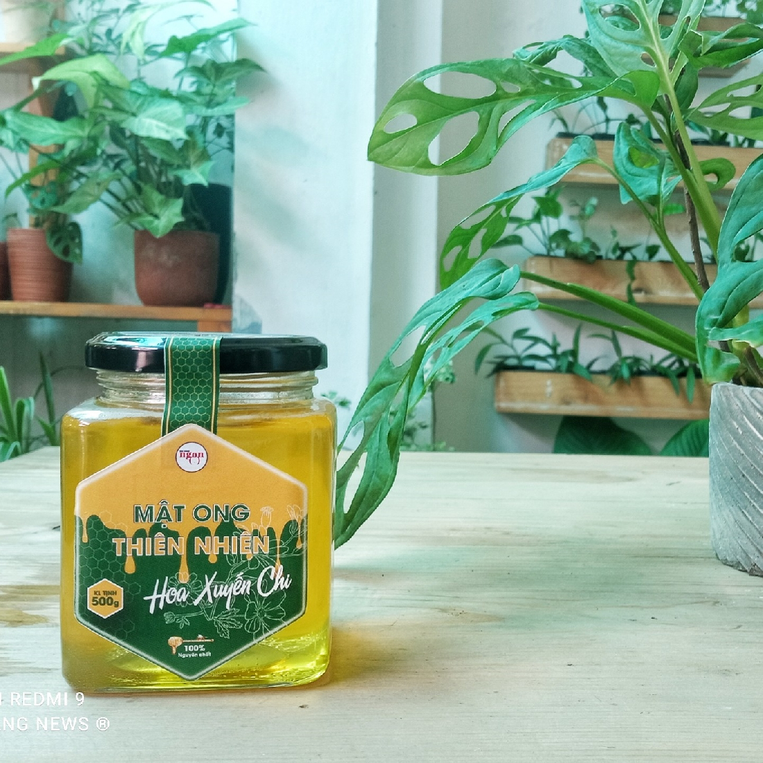 Mật ong thiên nhiên hoa Xuyến Chi - Lọ thủy tinh 500g