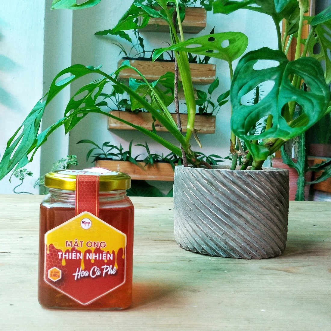 Mật ong thiên nhiên hoa Cà Phê - Lọ thủy tinh 240g
