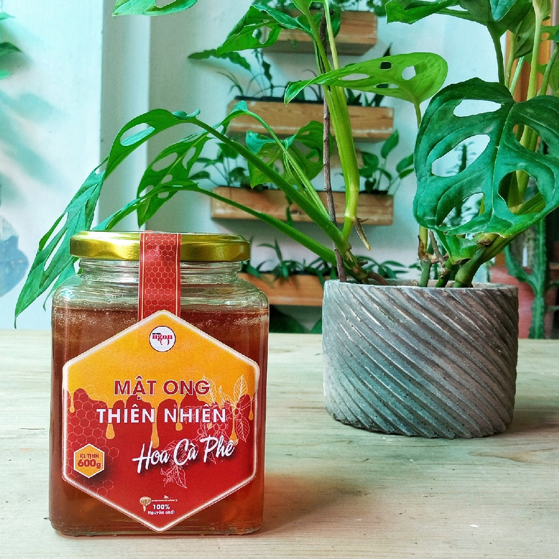 Mật ong thiên nhiên hoa Cà Phê - Lọ thủy tinh 600g