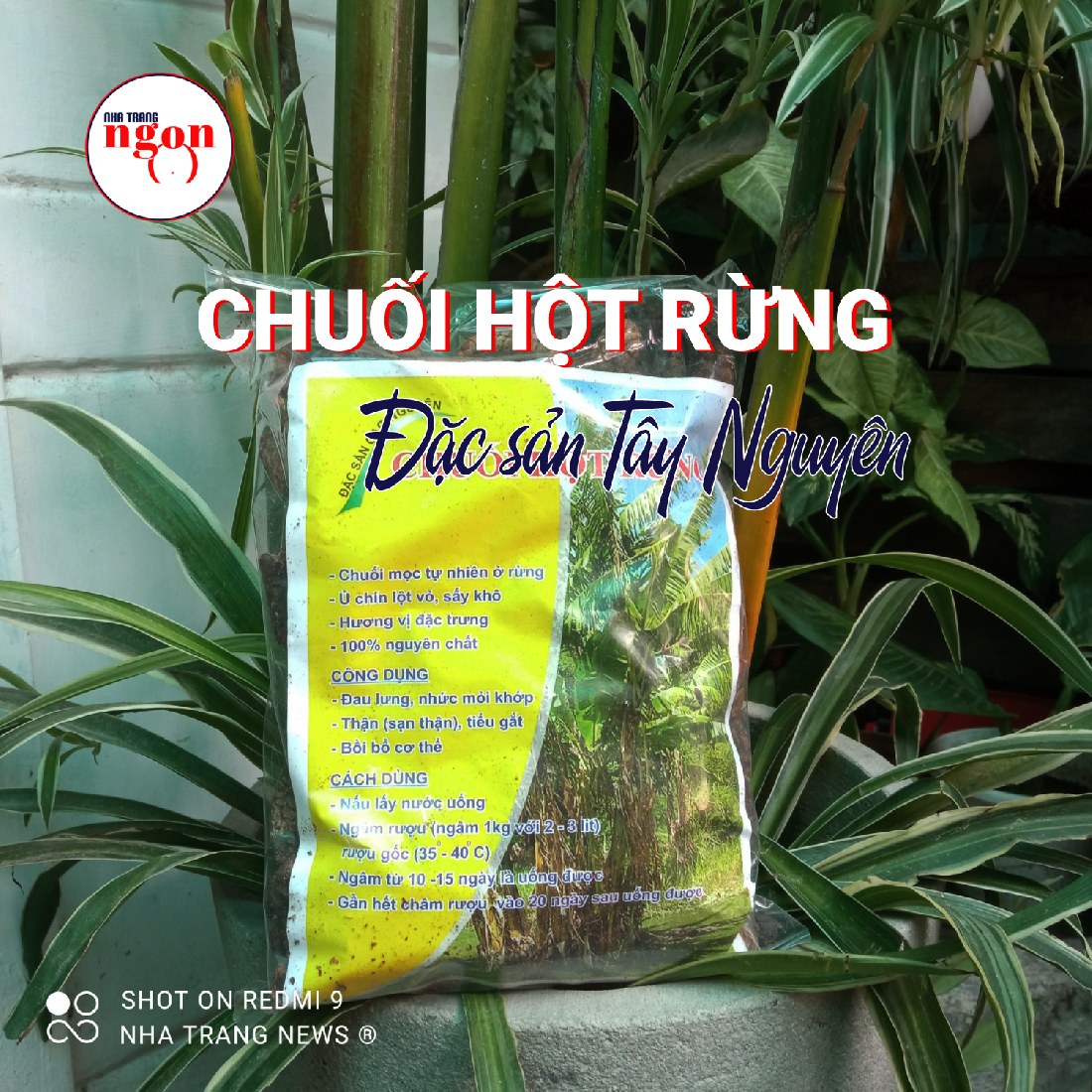 Chuối hột rừng Tây Nguyên sấy khô -1kg