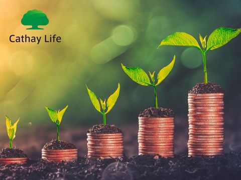 Link - Thịnh An Tích Lũy Trọn Đời Ưu Việt (https://businesscard.vip/bao-hiem-benh-ung-thu-cathay)