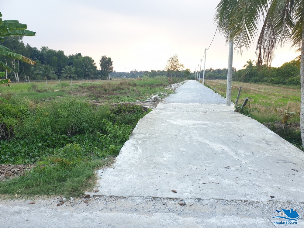 Link - Bán đất nền 5x20 khu phân lô nhánh đường Ngô Thì Sĩ (phường An Bình, Rạch Giá, Kiên Giang) (http://nhadat102.vn/nha-dat/KG004002.dqh)