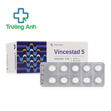 Vincestad 5
