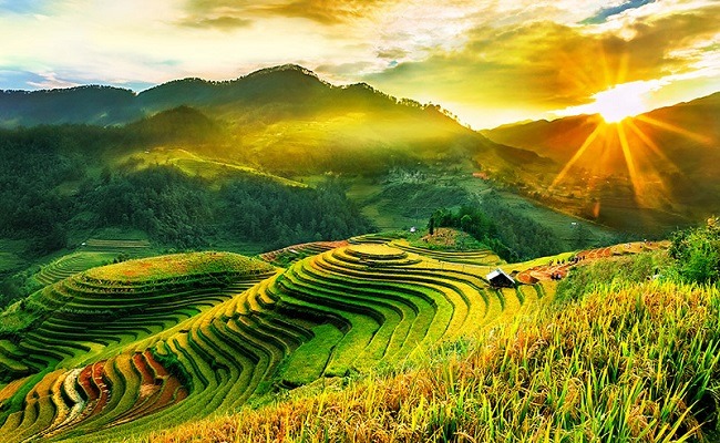 Link - TOUR ĐÀ NẴNG MỘC CHÂU - GIÁ TỐT - ĐẶT NGAY (https://www.danangxanh.com/199-tham-quan-ba-na-nui-than-tai-3-ngay-2-dem.html)