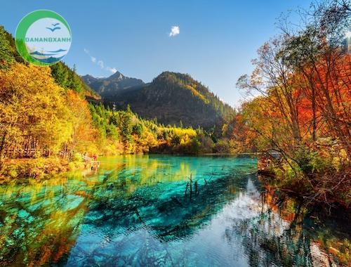 Link - Tham quan Cửu Trại Câu từ Đà Nẵng 6 ngày 5 đêm (https://danangxanh.vn/162-tour-cuu-trai-cau-bay-thang-tu-da-nang.html)
