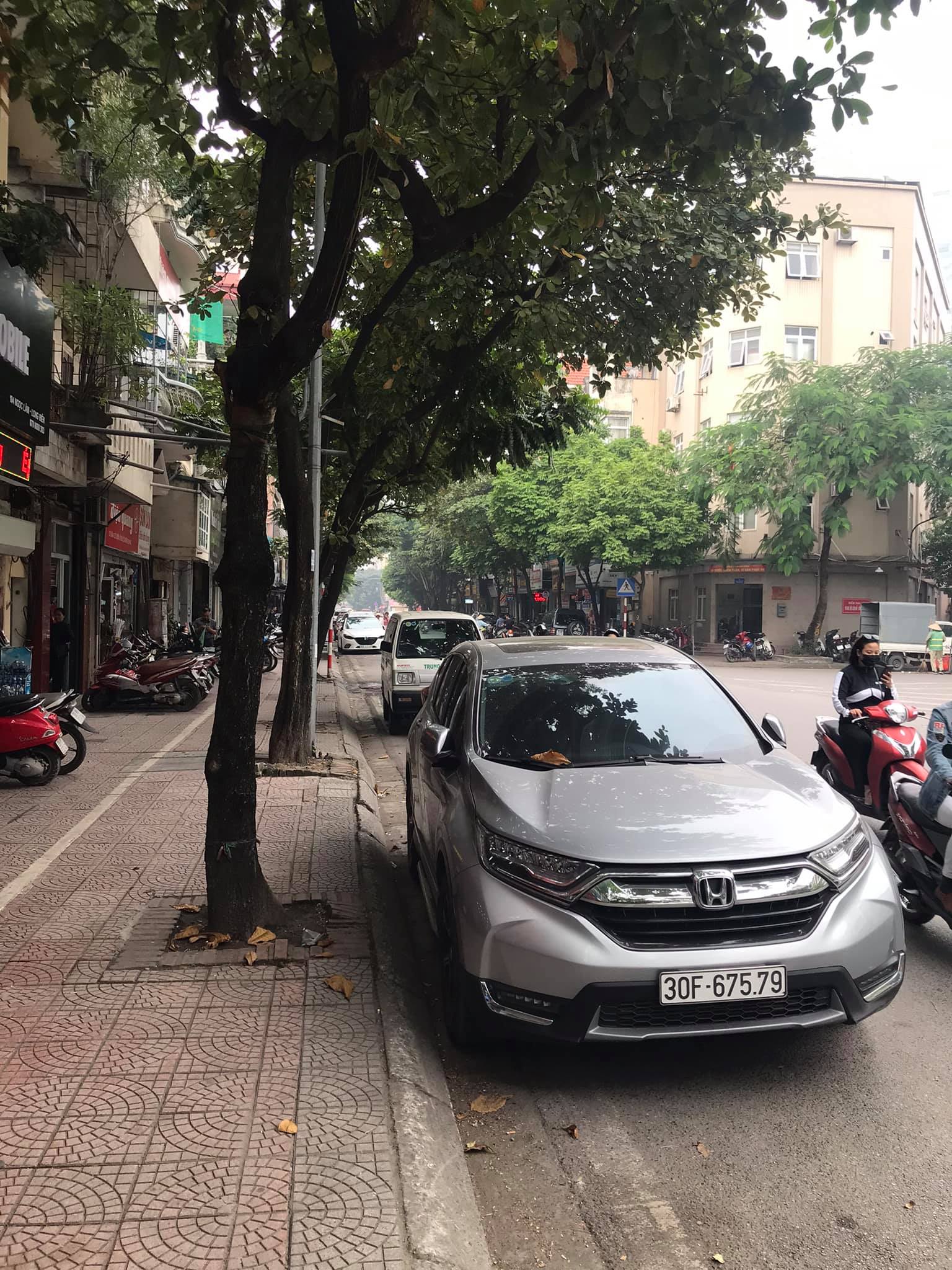 CCMN-Ngọc Lâm