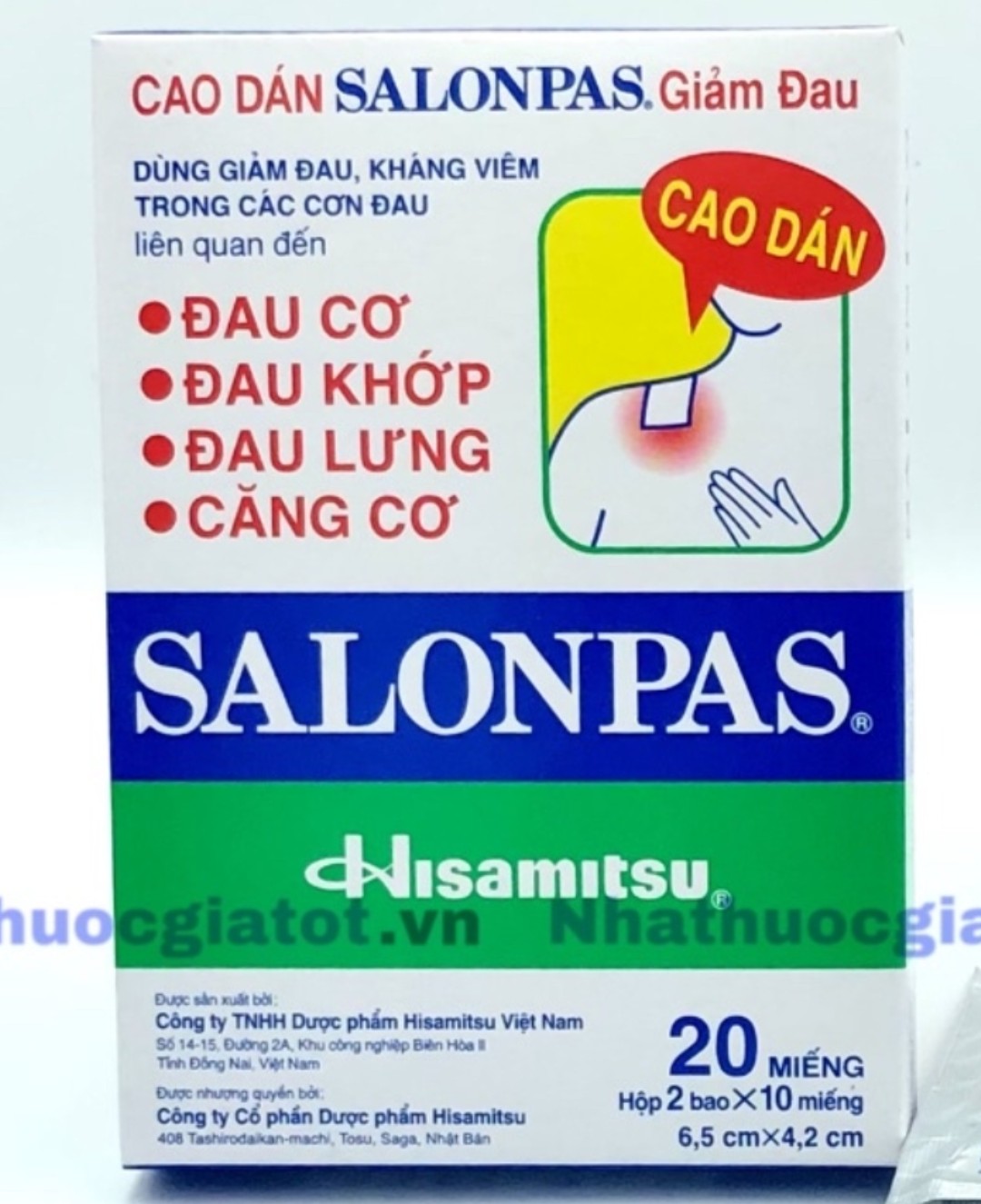 Salonpas Dán