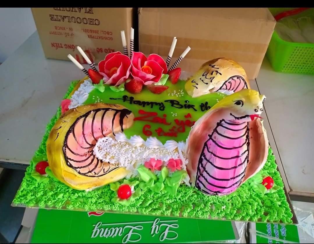 Bánh Gato Con Rắn