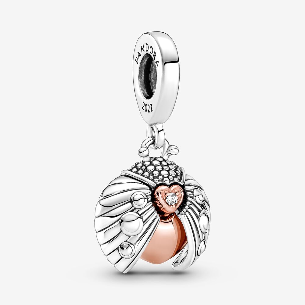 Charm 1