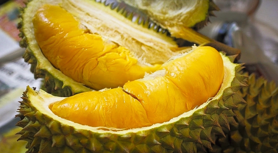 Sầu Riêng