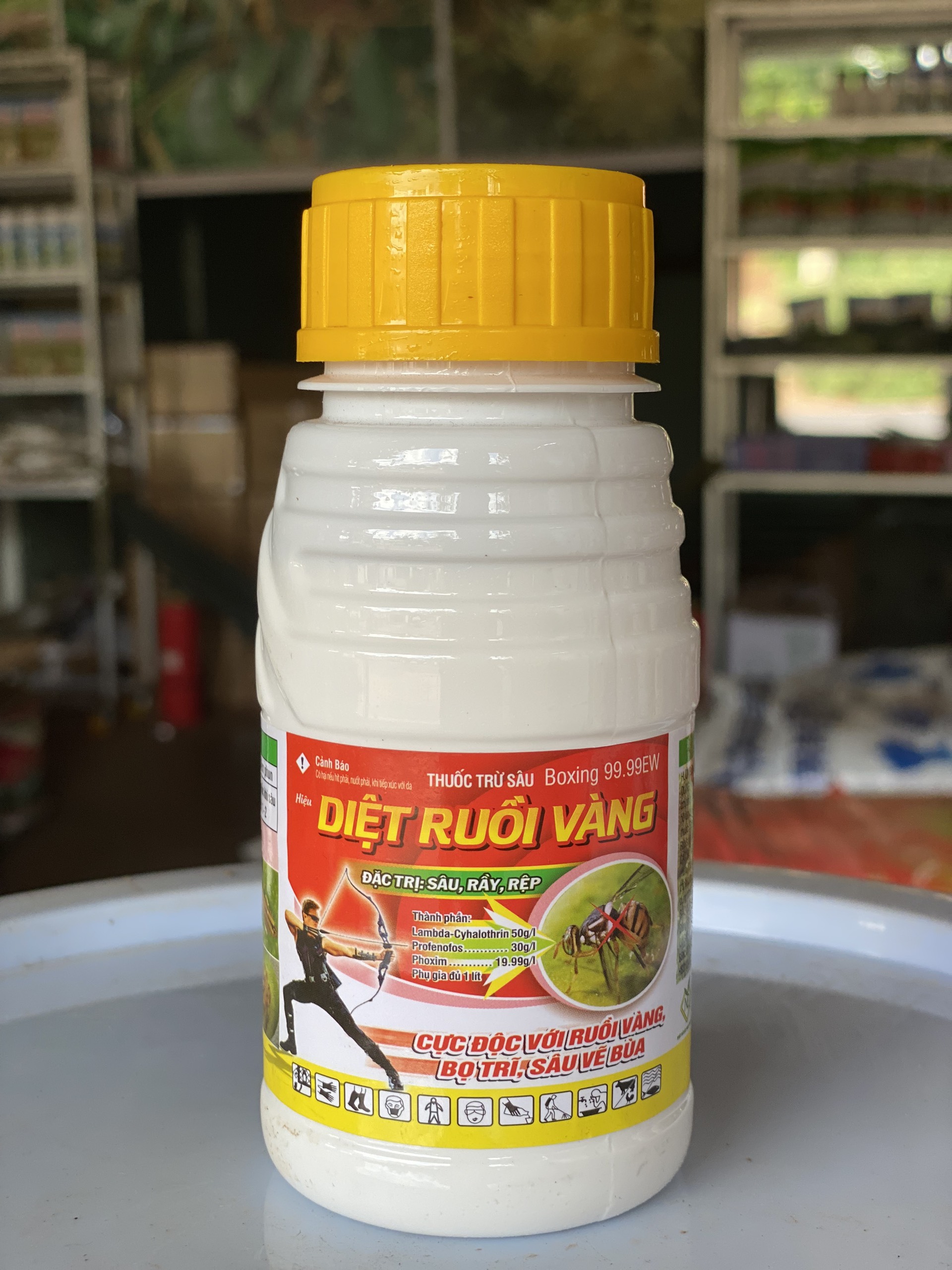 DIỆT RUỒI VÀNG