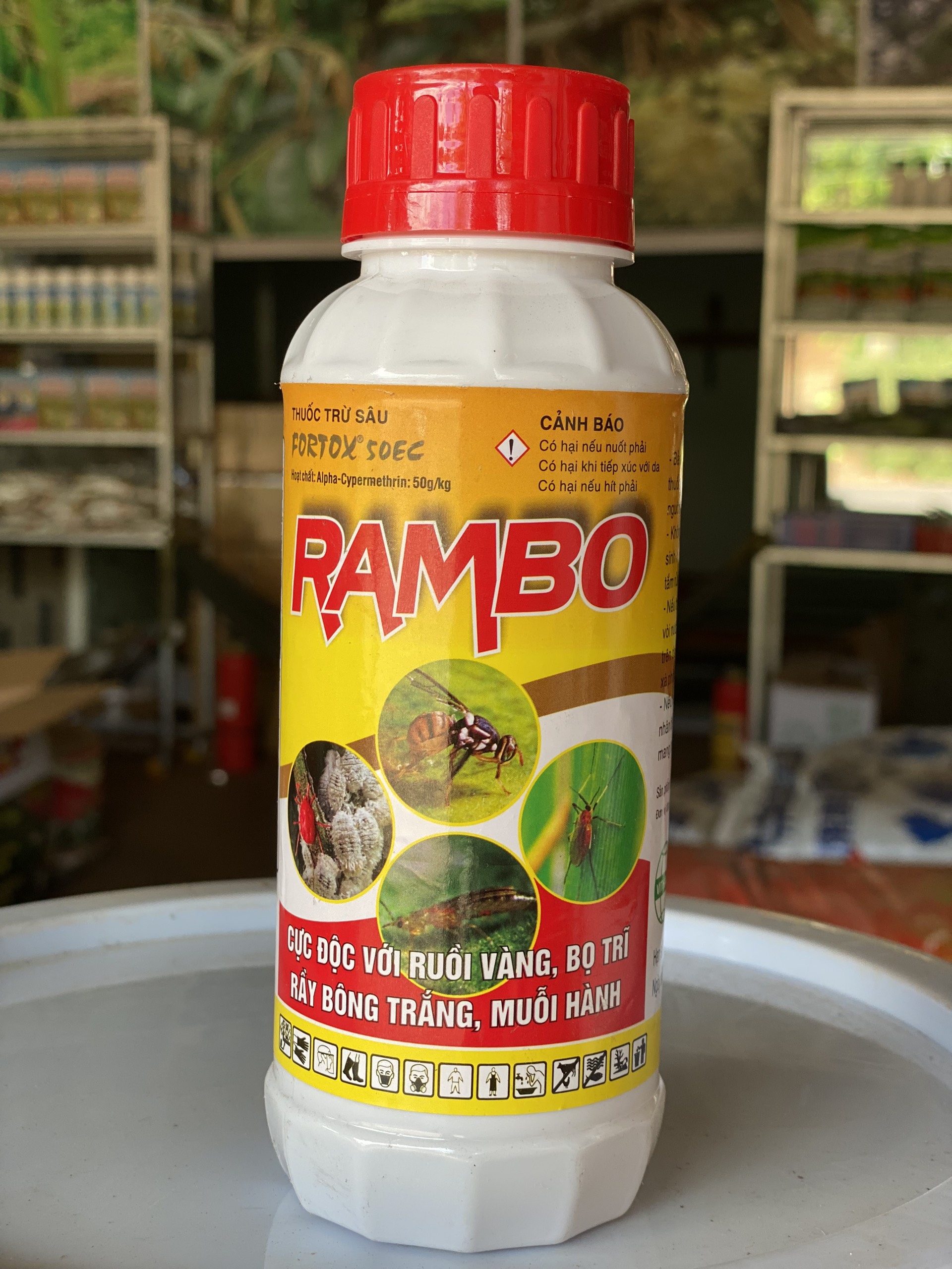 RAMBO