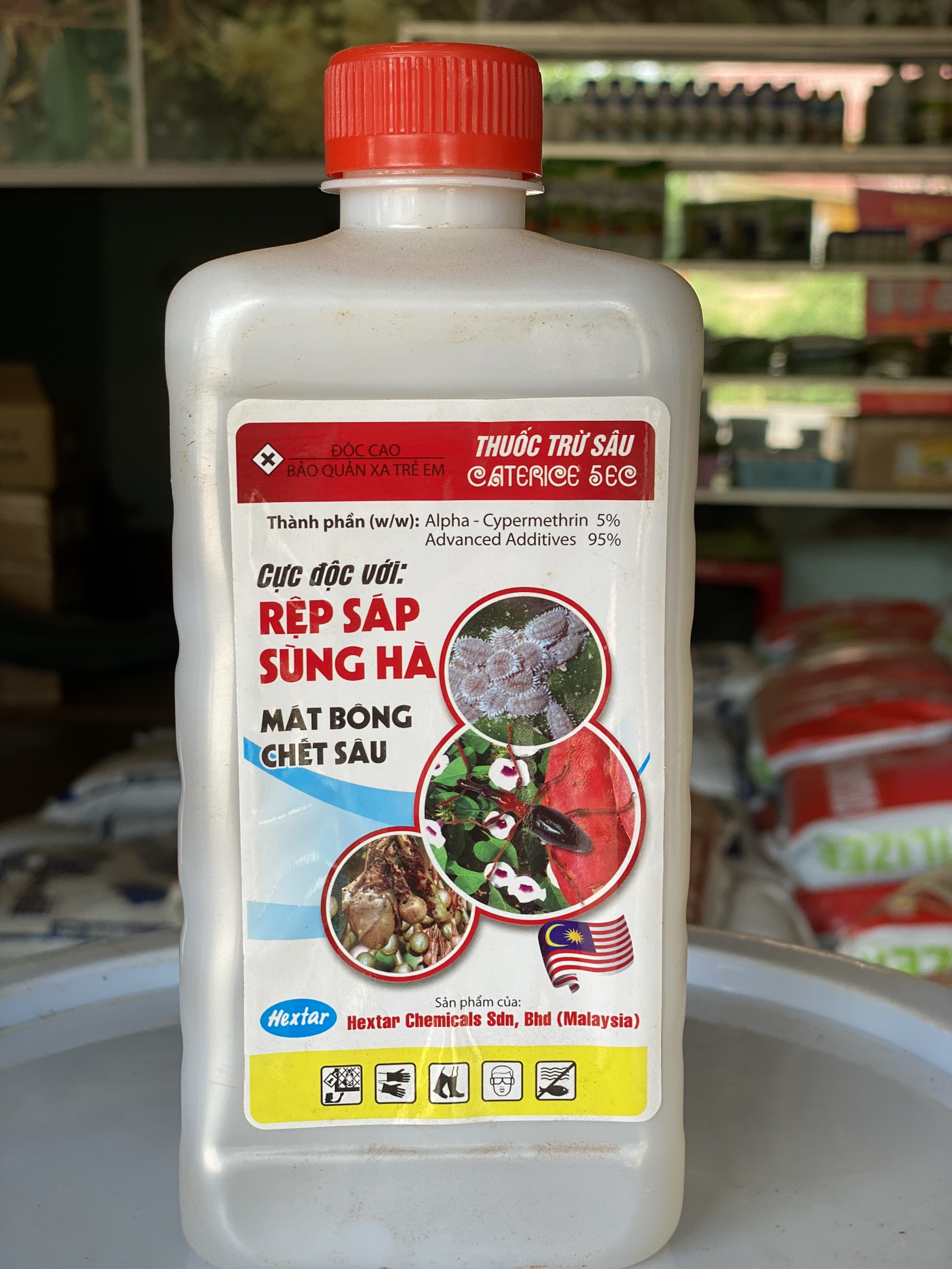 RỆP SÁP DÙNG HÀ