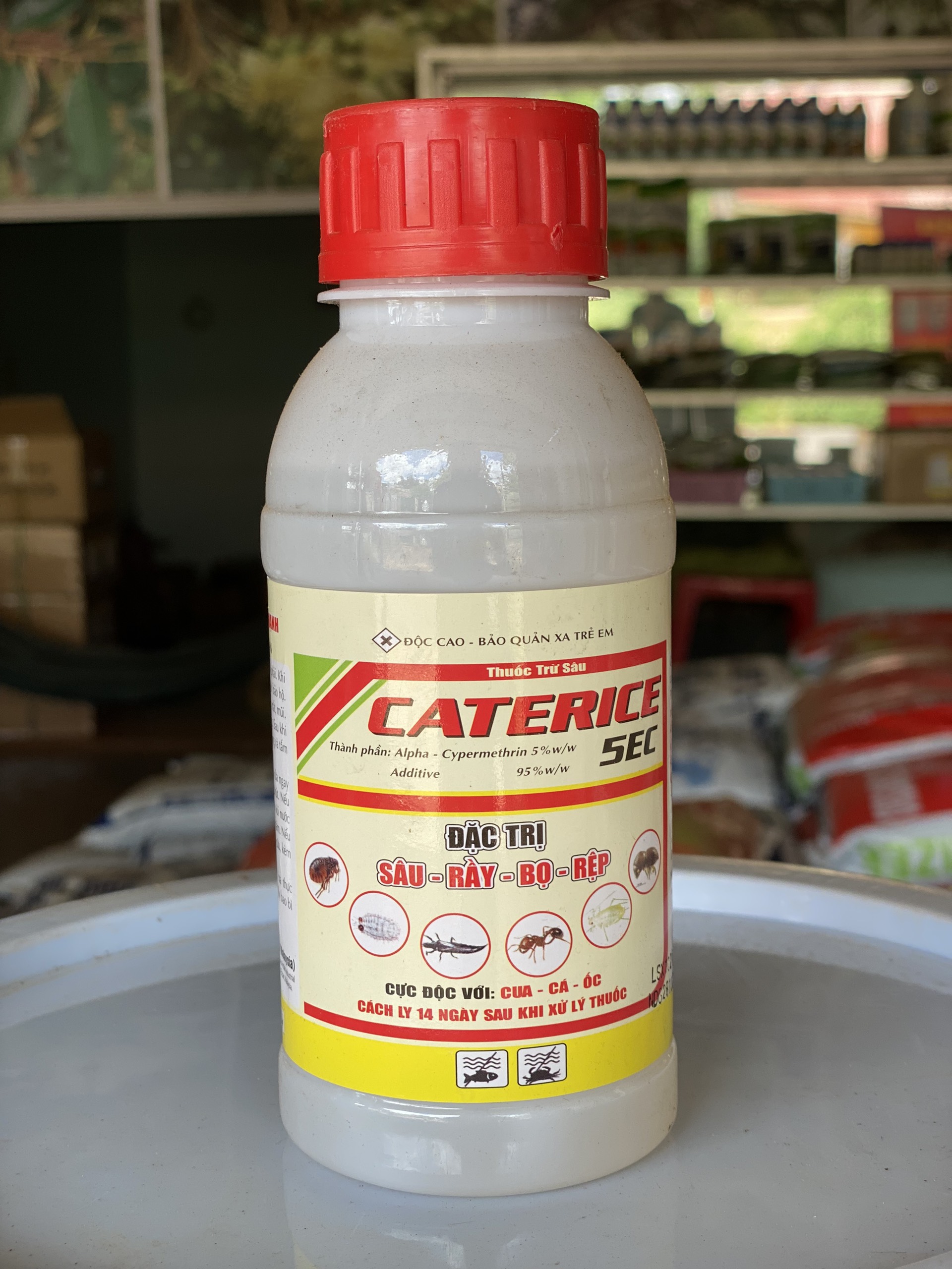 CATERICE 5EC