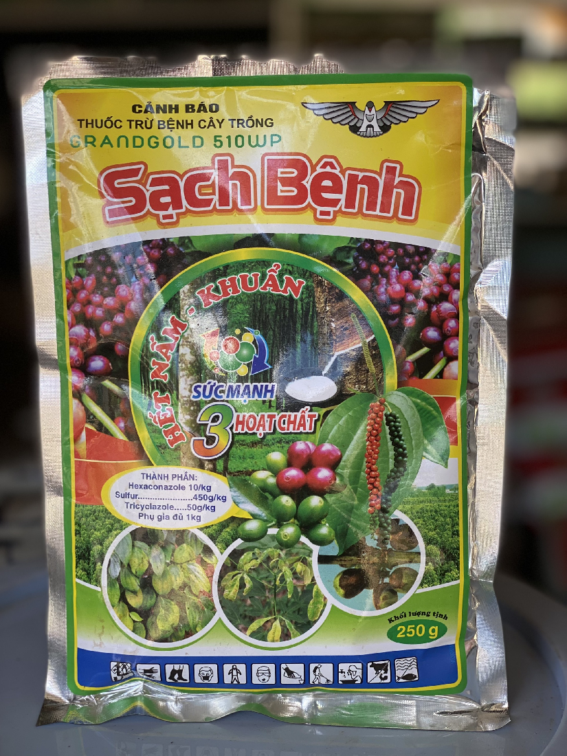 SẠCH BỆNH
