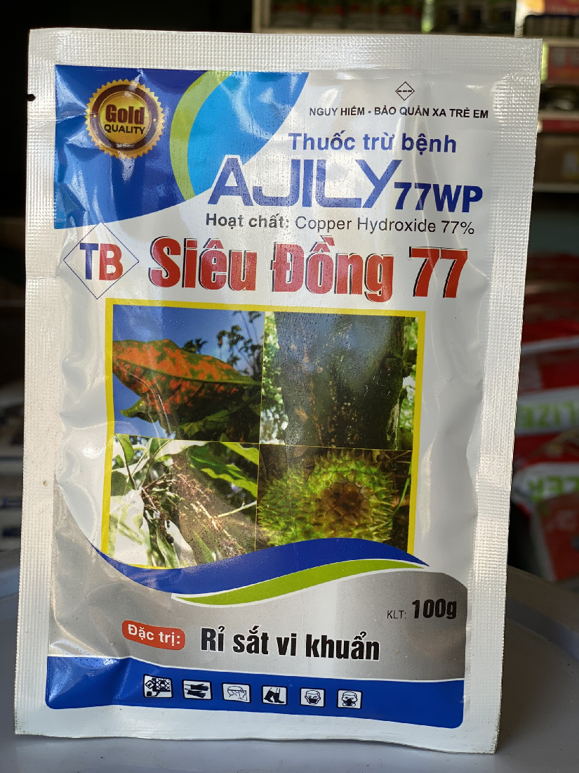 SIÊU ĐỒNG 77