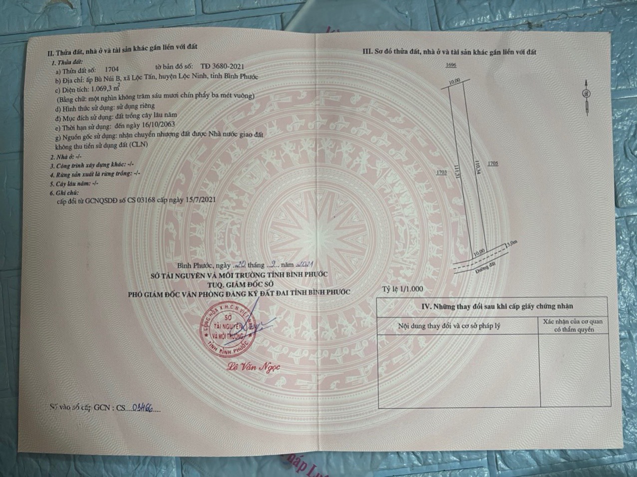 Đất sào đường đất - có sổ riêng 