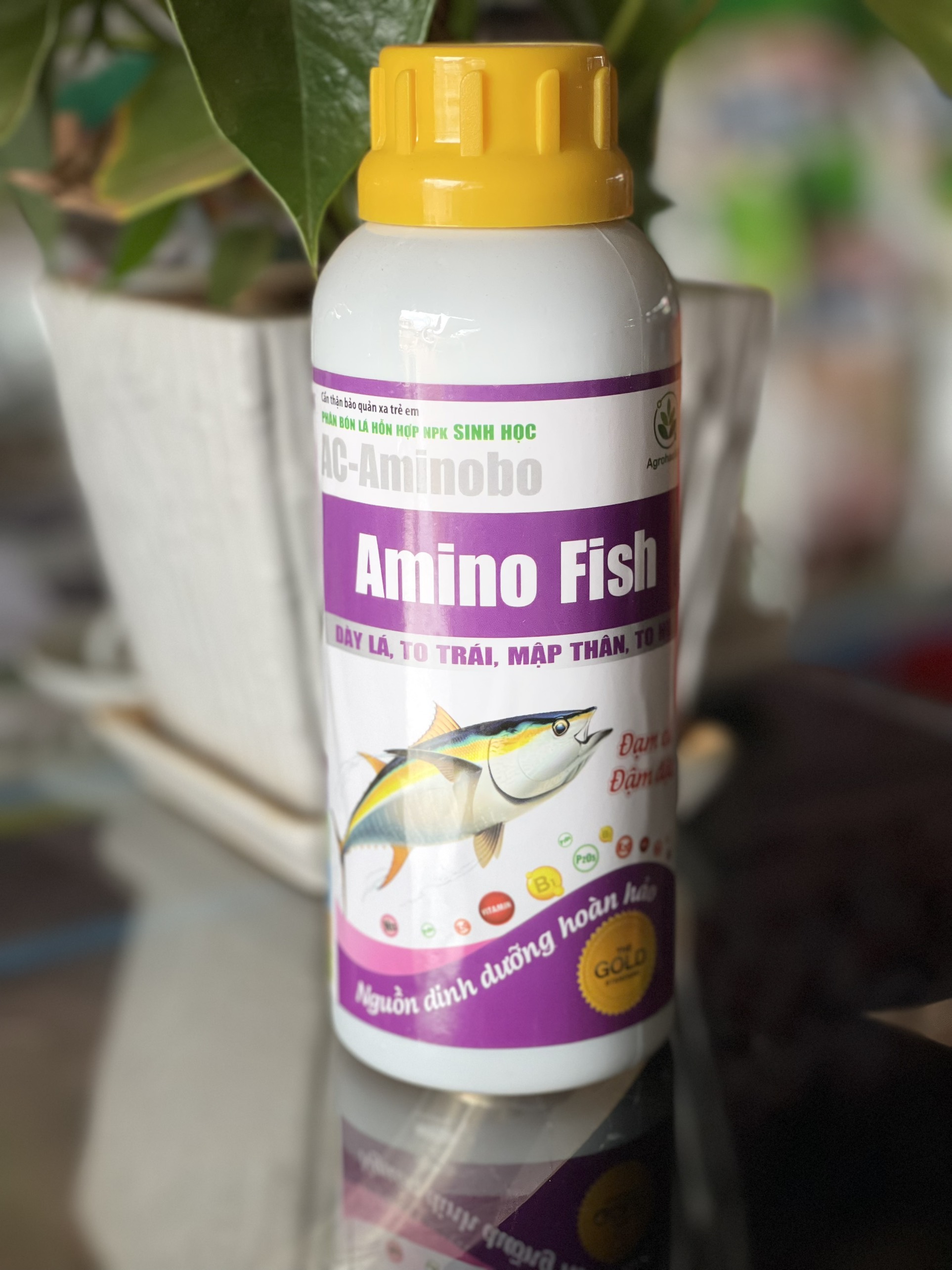 AMINO FISH