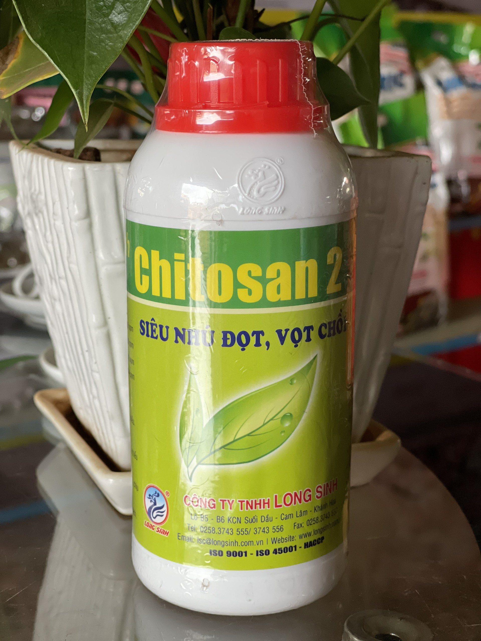 CHITOSAN 2