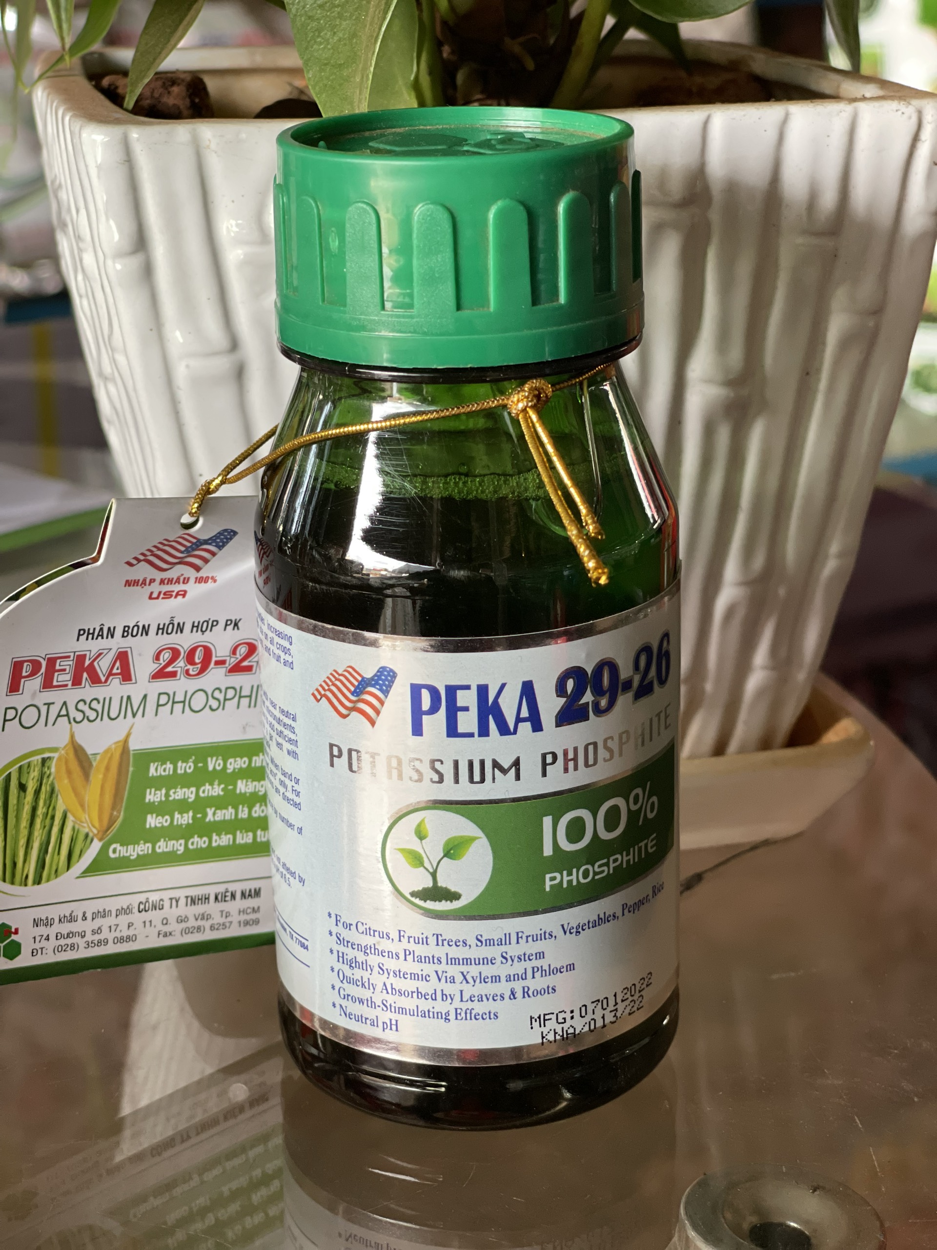 PEKA 29 26