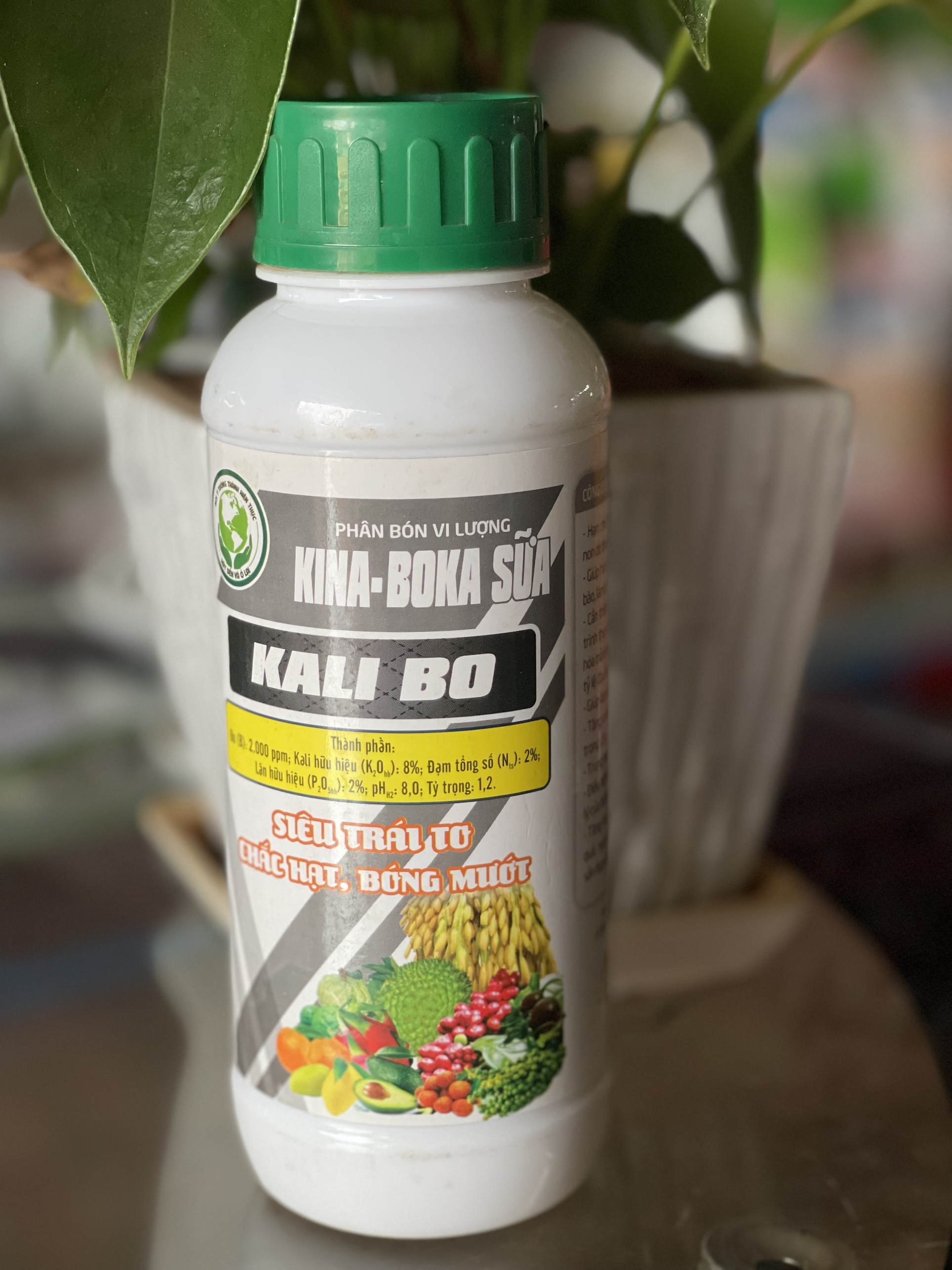 KALI BO