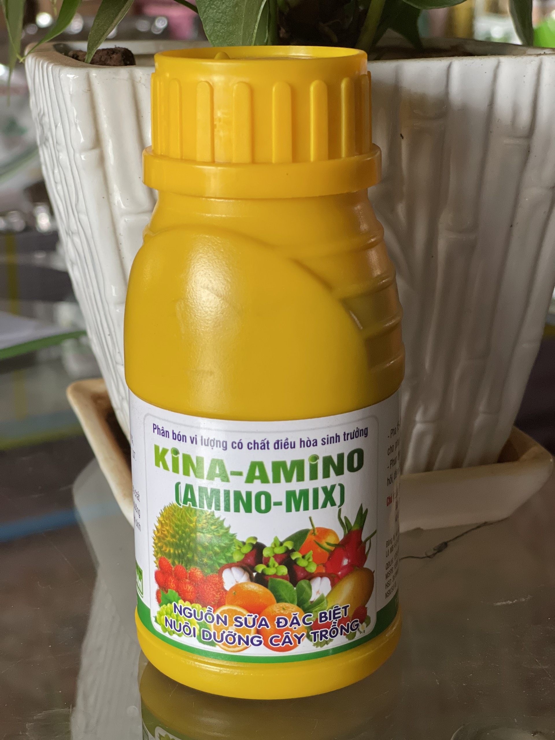 KINA AMINO