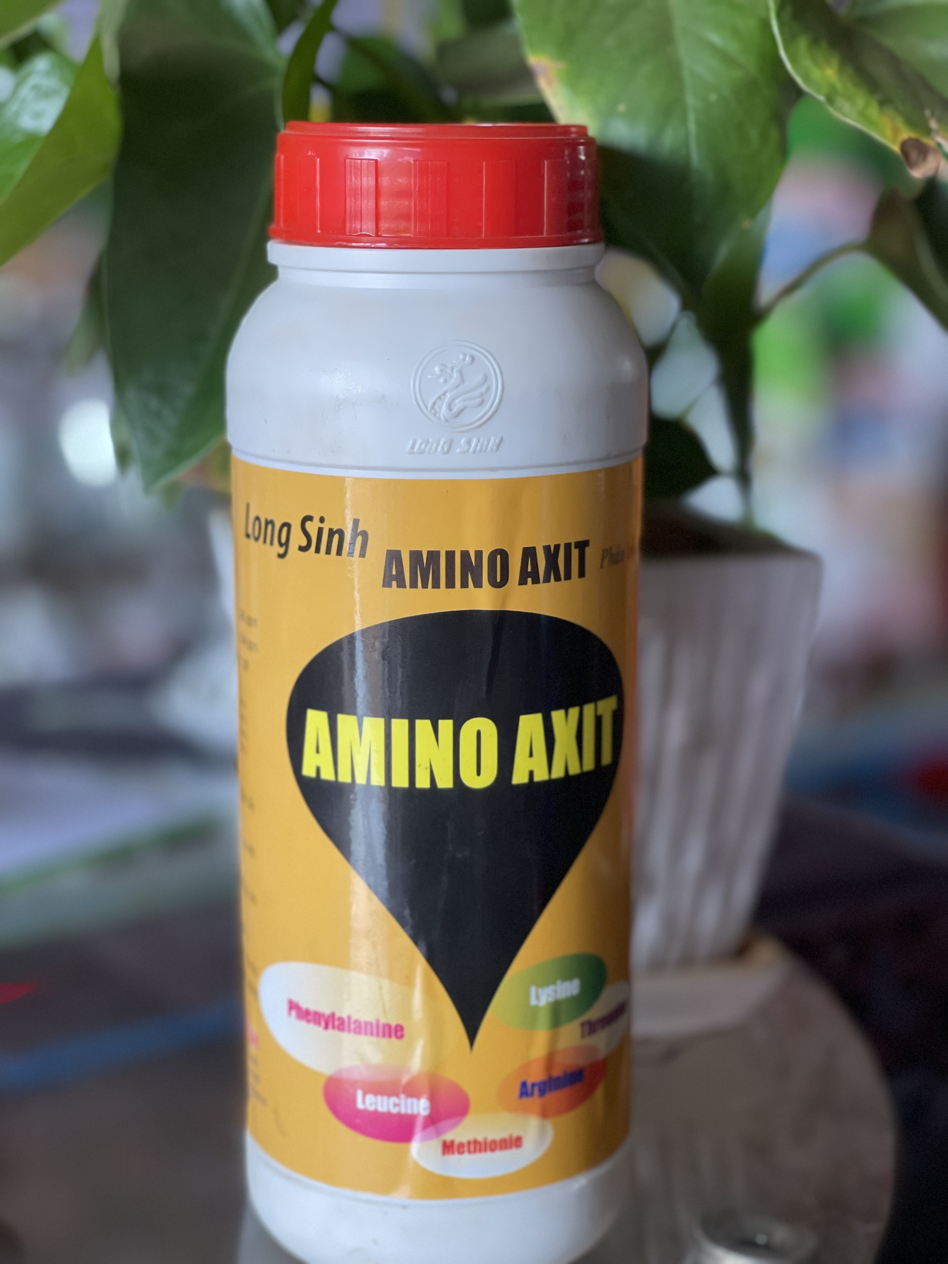 AMINO AXIT