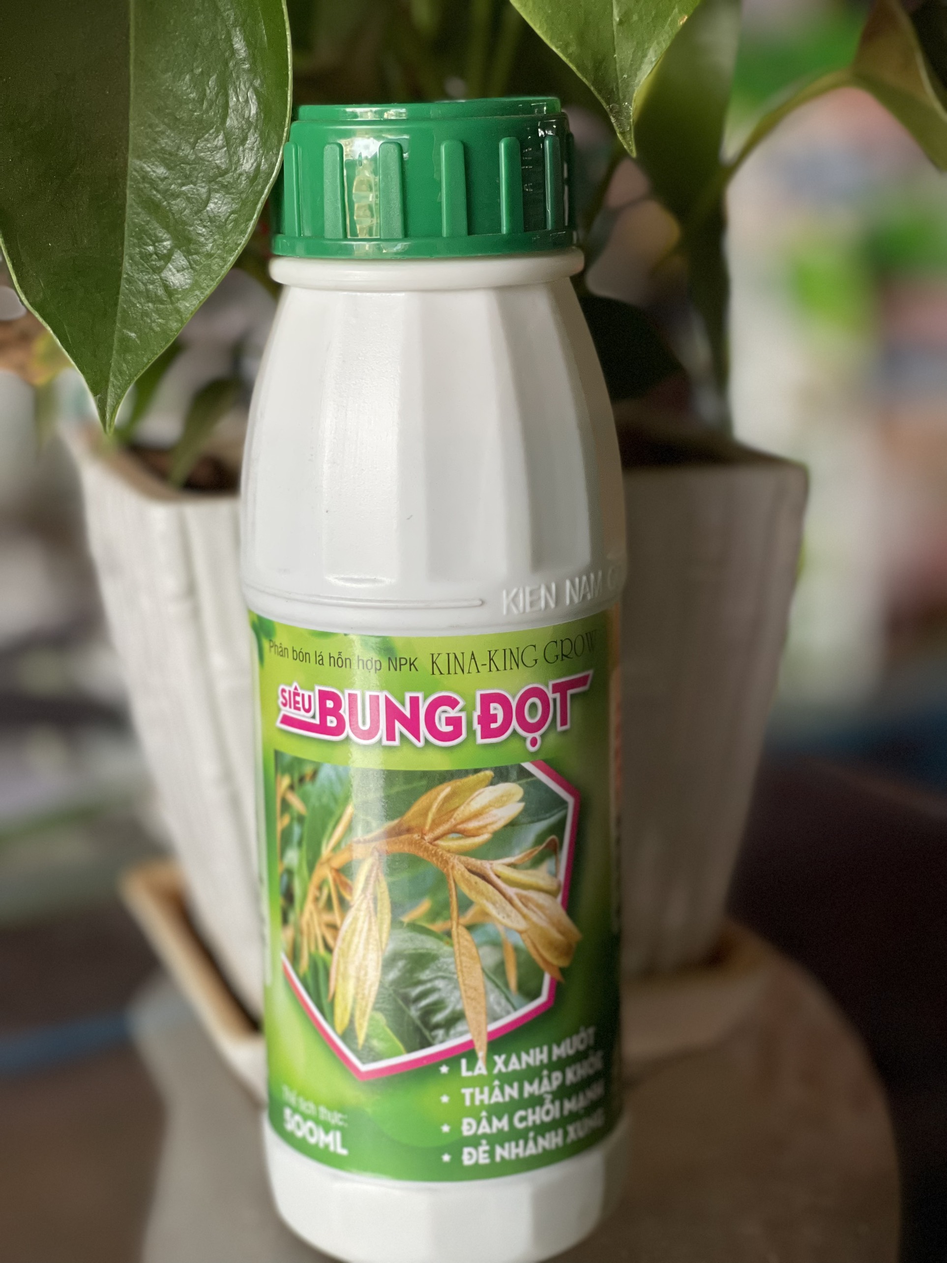 SIÊU BUNG ĐỌT
