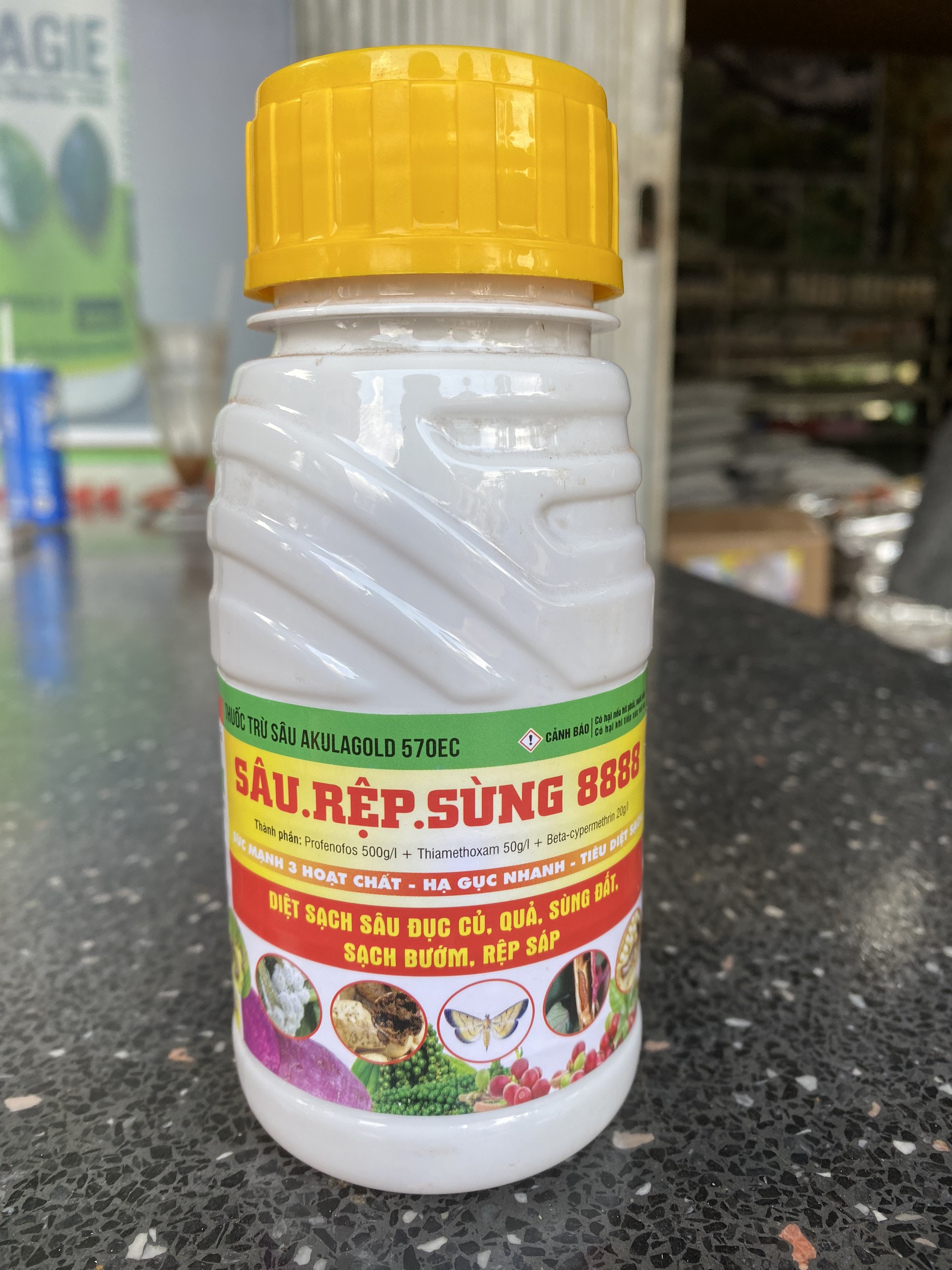 SÂU RỆP SÙNG 8888