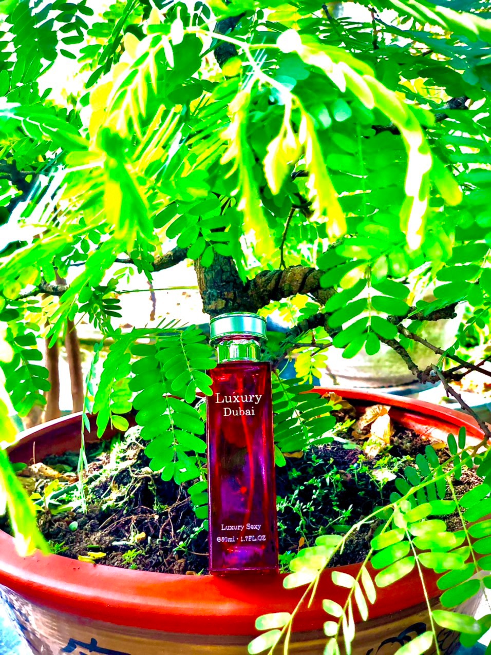 Nước hoa Luxury Đỏ