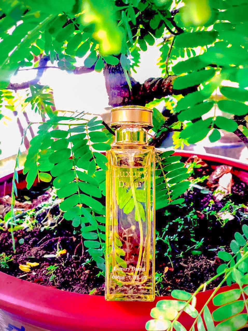 Nước hoa Luxury Vàng