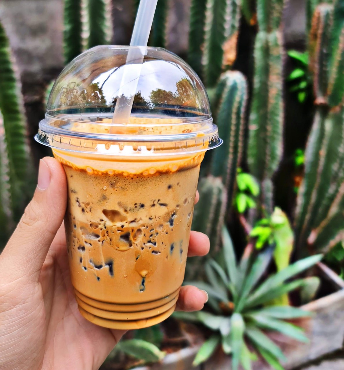 Cafe sữa đá