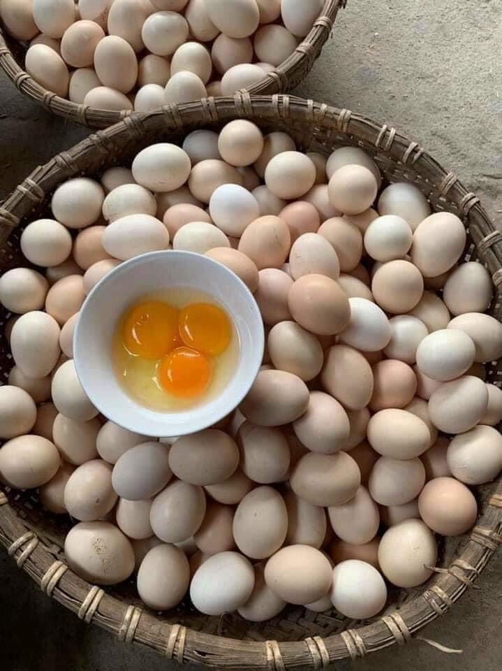 Trứng gà ta nhà quê