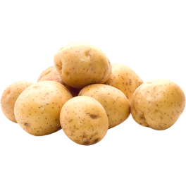 Khoai Tây