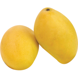 Xoài