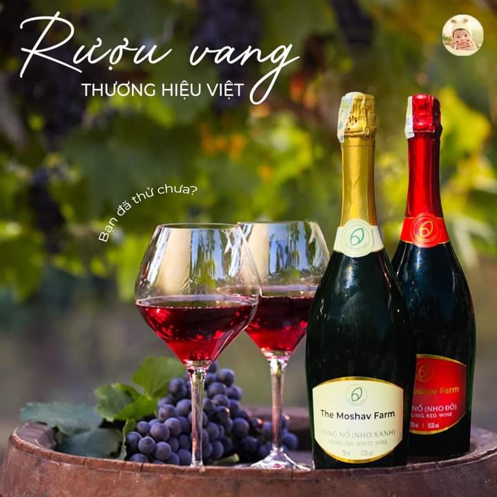 RƯỢU VANG NỔ – Sparkling wine