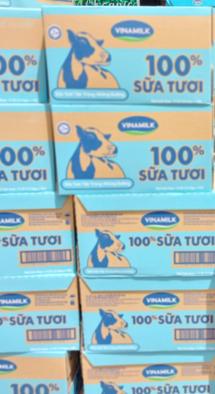Sữa tươi tiệt trùng không đường 1L Vinamilk