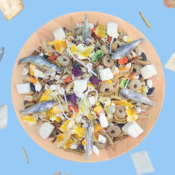 Thức Ăn Trộn Hamster 500gr