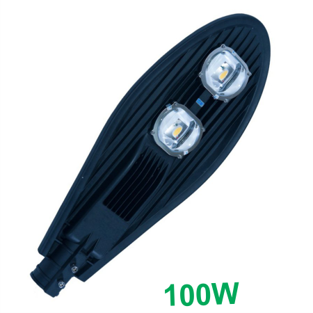 Loại 100W