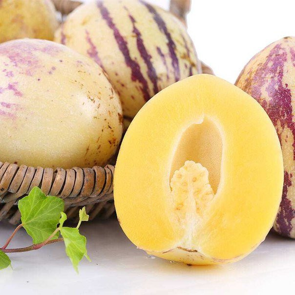 Dưa Pepino Đà Lạt