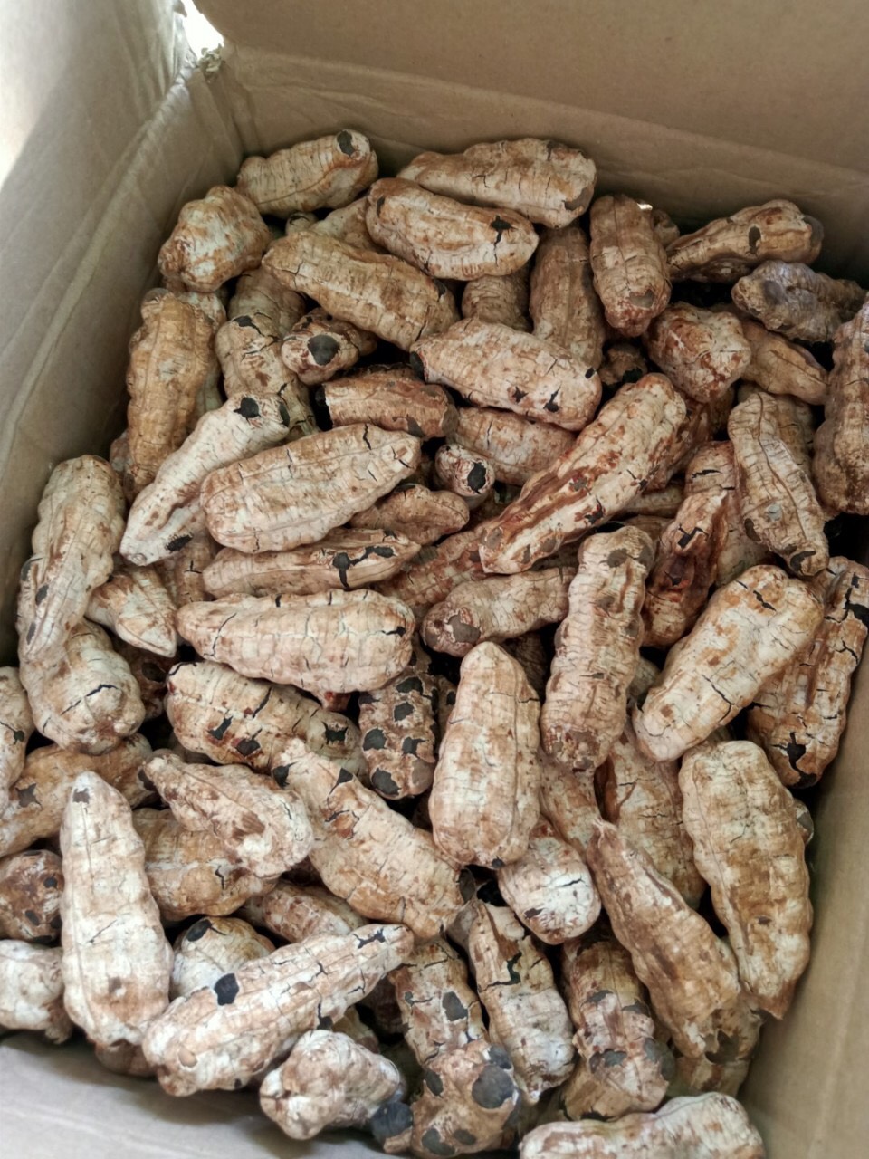 Mua 2KG