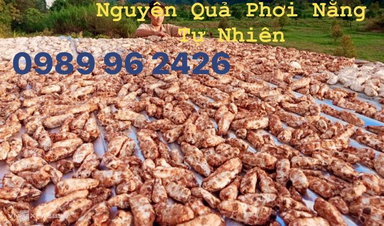 Mua 5KG 