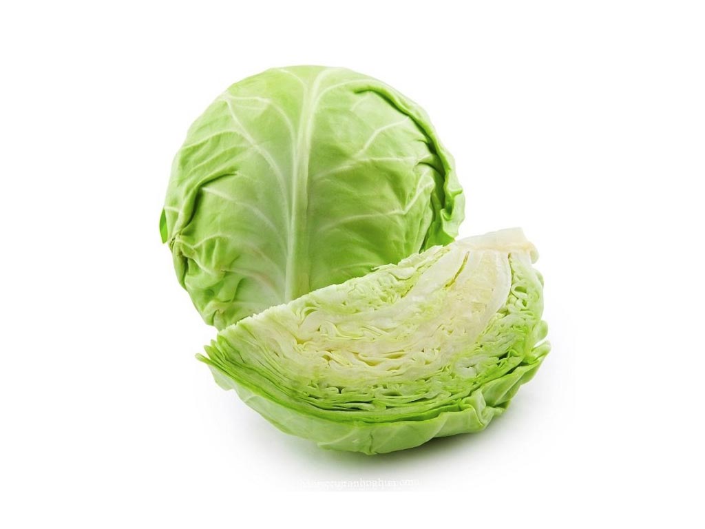 bắp cải Đà Lạt