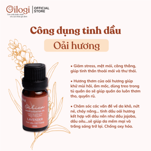 Tinh dầu Oải Hương 10ml (Lavender essential oil )