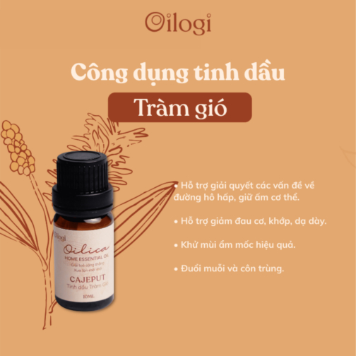 Tinh dầu Tràm Gió 10ml