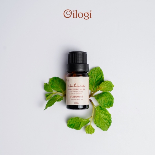 Tinh dầu Bạc Hà 10ml (Cornmint essenti)