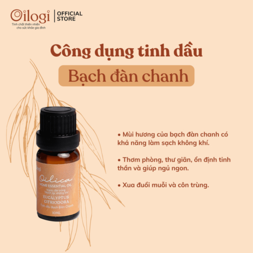 Tinh dầu Bạch Đàn Chanh 10ml (Eucaluptus citriodora essential oil)